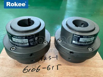 Curved Tooth Couplings